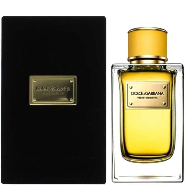 Dolce & Gabbana Velvet Ginestra Eau de Parfum 5.0 oz