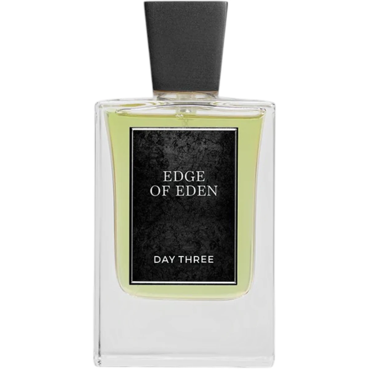 Day Three Fragrances Edge Of Eden Extrait de Parfum 1.7 oz