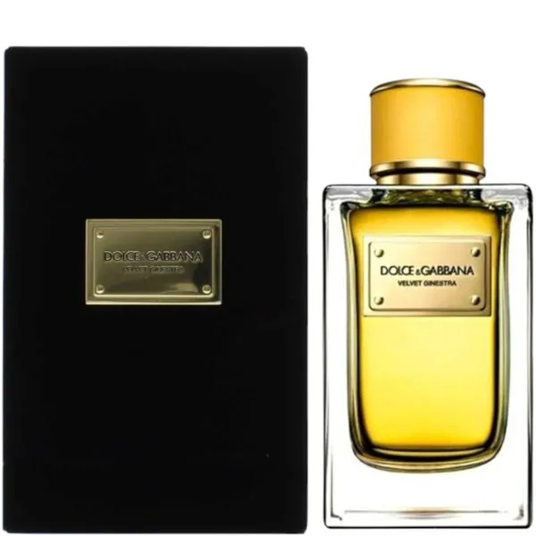 Dolce & Gabbana Velvet Ginestra Eau de Parfum 5.0 oz
