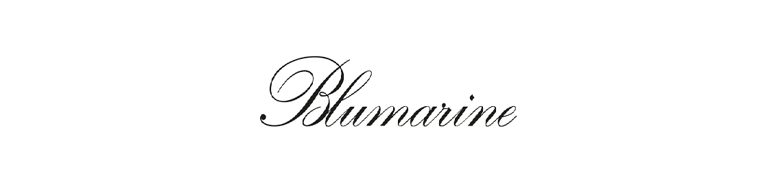 Shop by brand Blumarine