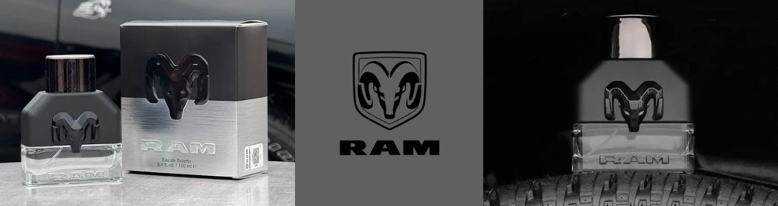 Shop by brand RAM