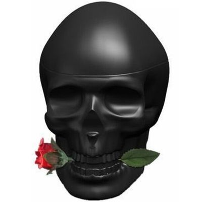 Christian Audigier - Skulls & Roses Eau de Toilette