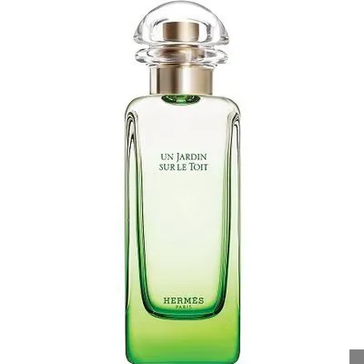 Hermes Un Jardin Sur Le Toit Eau de Toilette 3.3 oz Tester